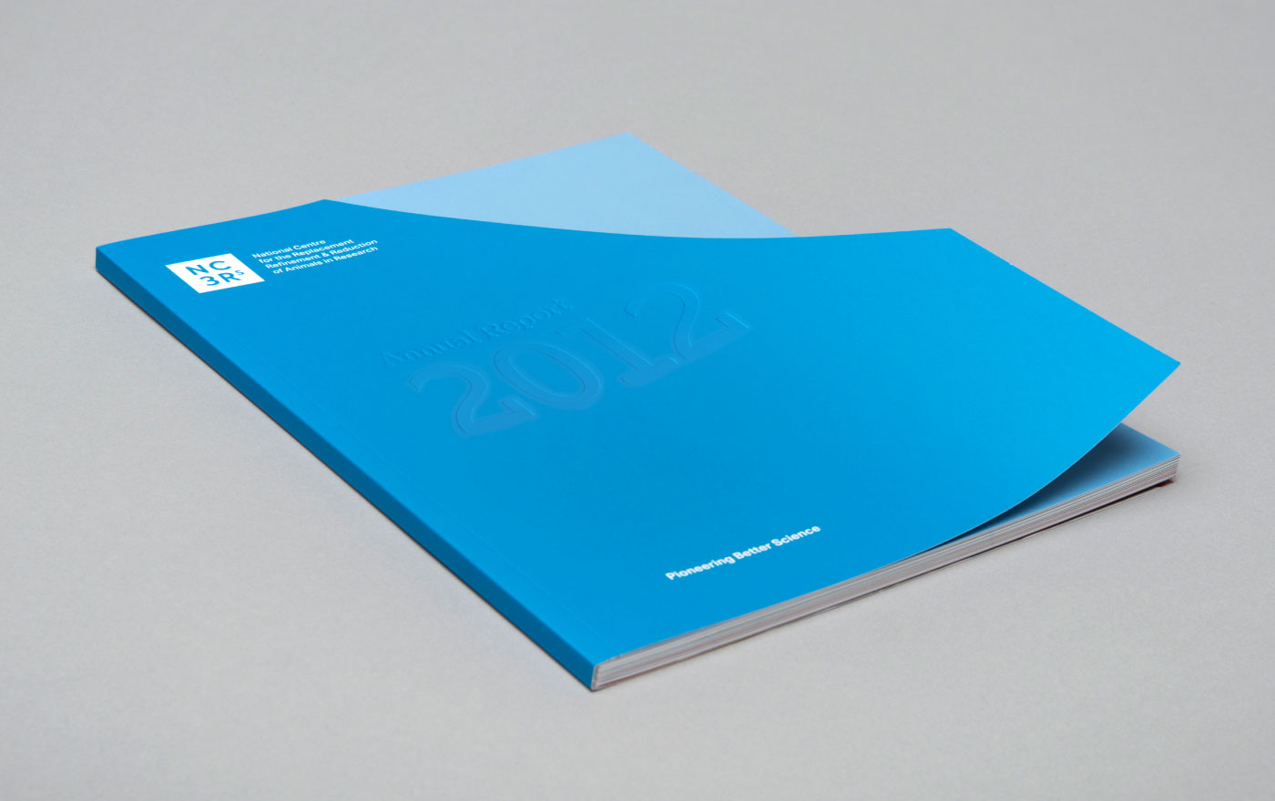 NC3Rs – Designed by Karoshi