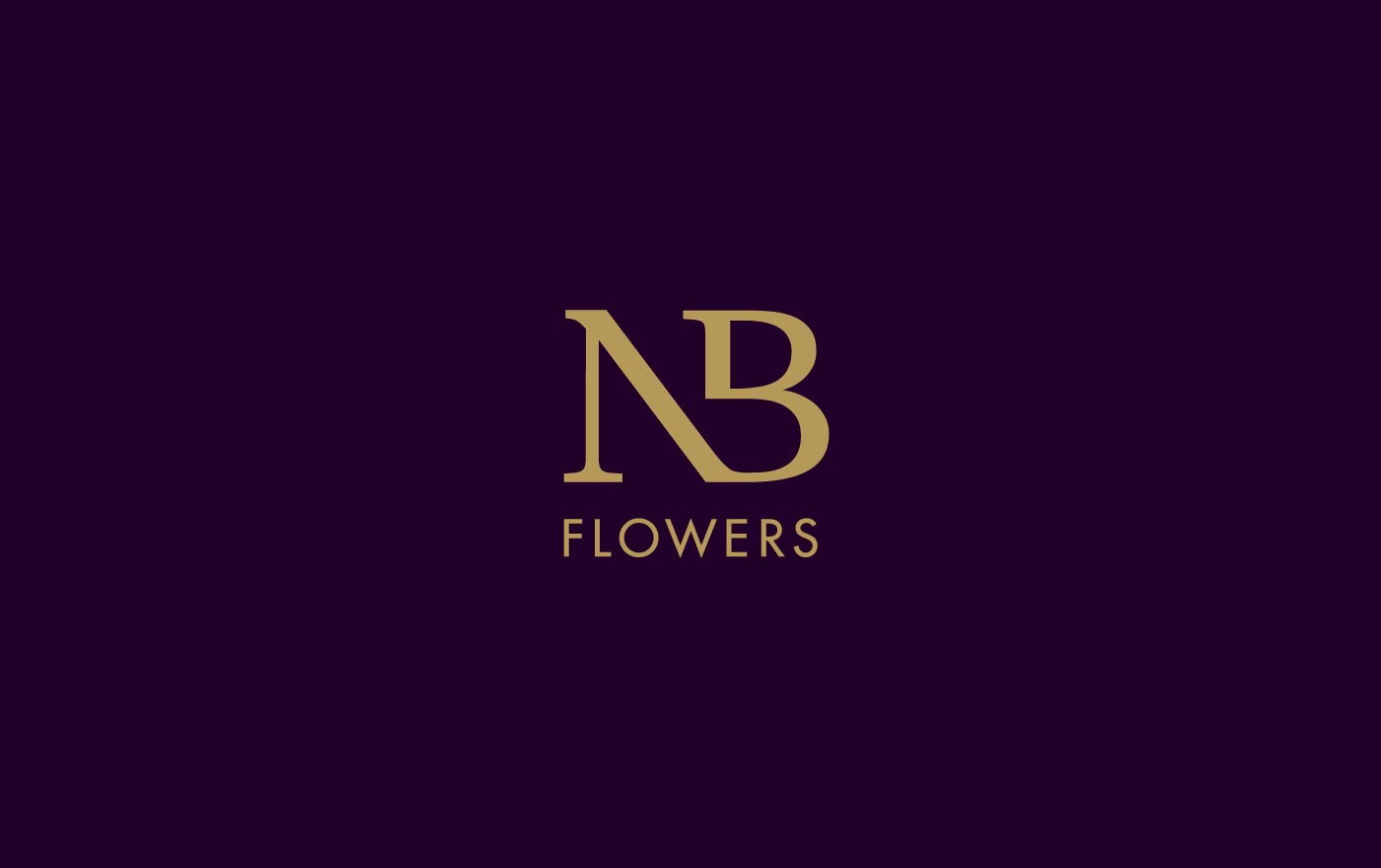 N b. NB буквы. NB logo Design. Логотип букв НБ. NB инициалы.
